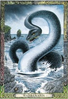 Druid Animal Oracle Water Dragon